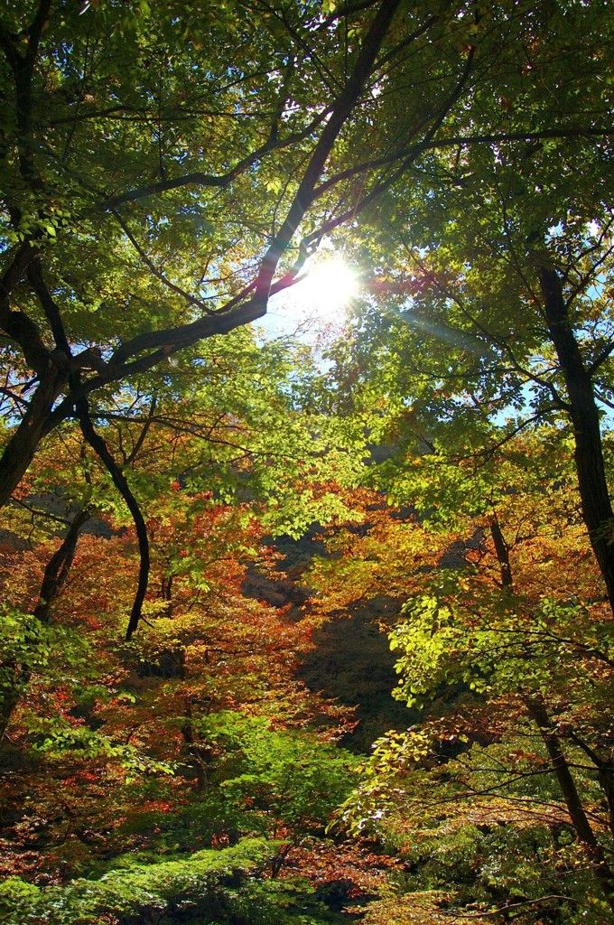 先にあるもの