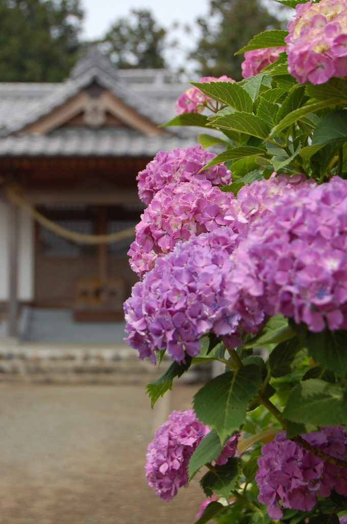 生品神社2