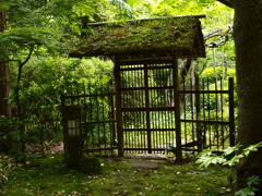 歌舞伎門