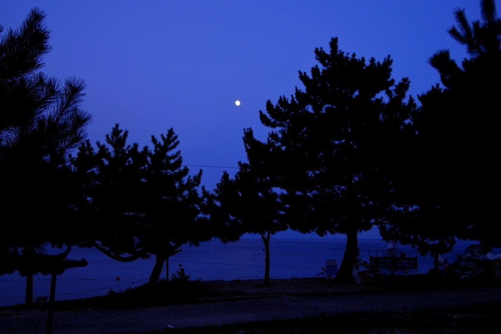 湖畔の夕刻
