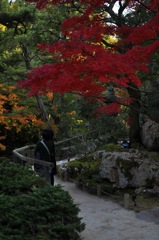 知恩院