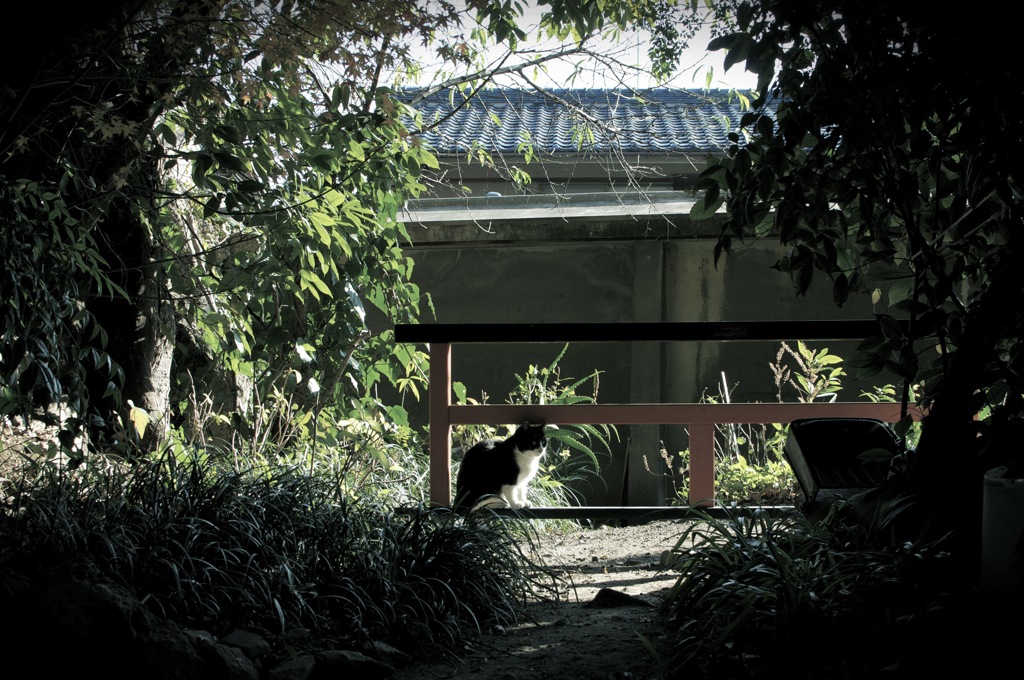 鎮座