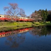 春既に訪れしともまだ咲かぬ桜