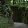 緑の狭道をゆく