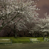 non high dynamic range imaging