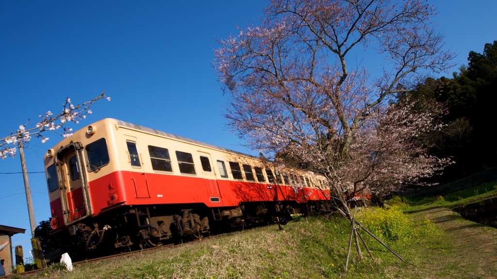 春上総を駆ける小湊鉄道