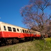 春上総を駆ける小湊鉄道