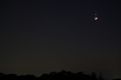 三日月と金星