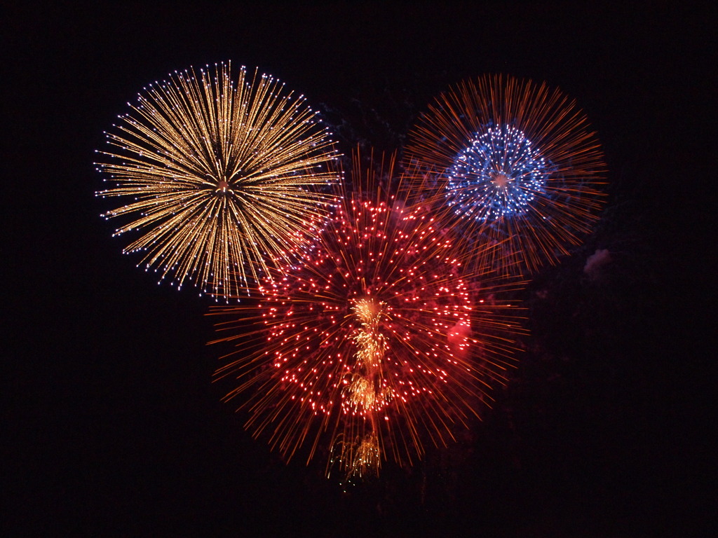 夜空の大輪