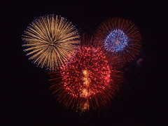 夜空の大輪