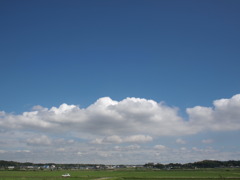 牧歌的な風景