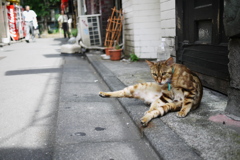 ゴールデン街の朝