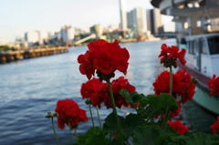 芝浦埠頭