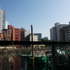 東品川の鵜