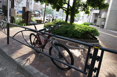 四谷四丁目交差点の朝