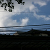 四谷荒木町の朝