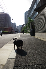 太りすぎ
