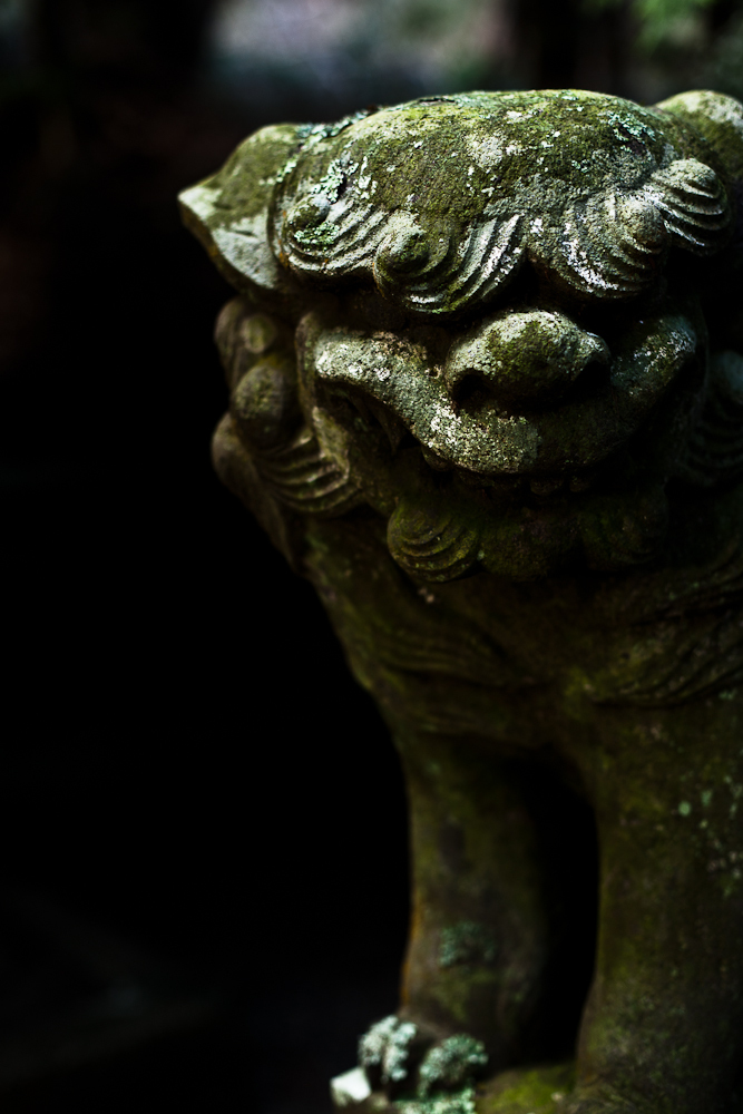 Guardian