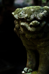 Guardian
