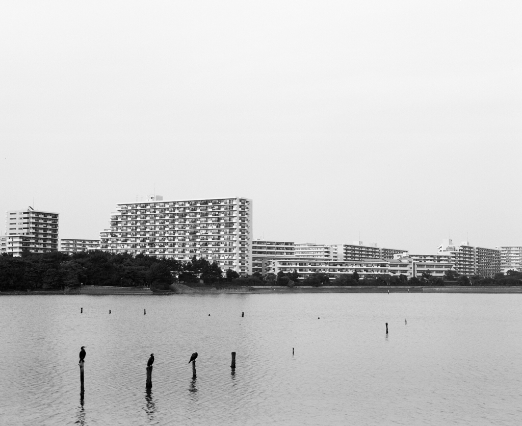 IMG-0010