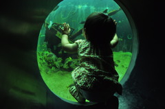 海の窓