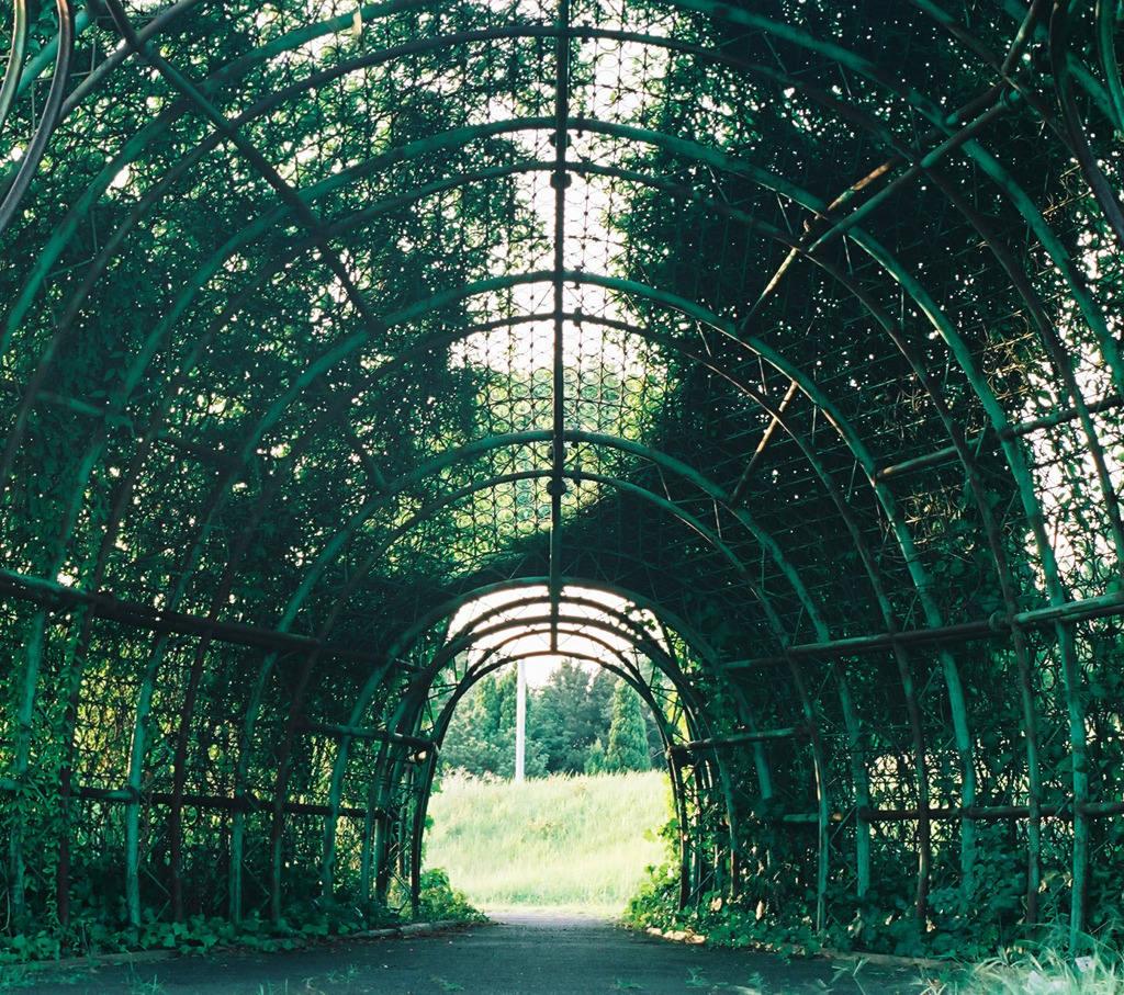 gate