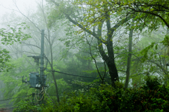 FOG