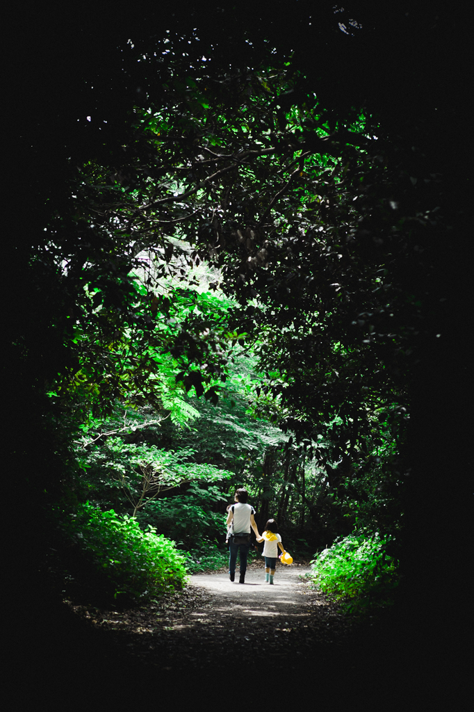 Into the Wild