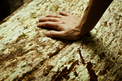 Touch the skin.