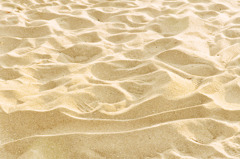 little desert