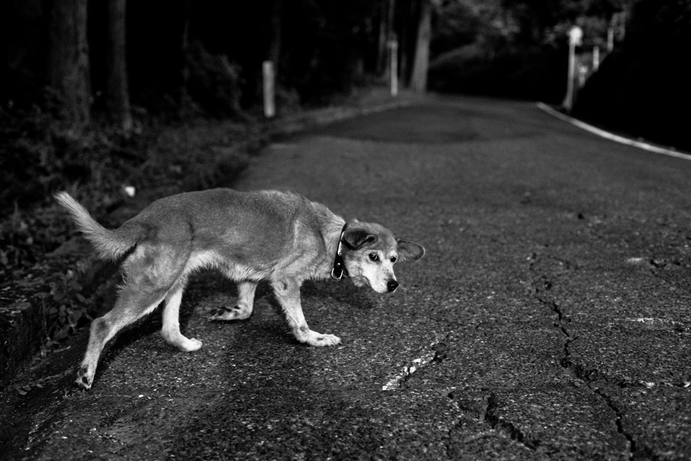 Rollin' lonely