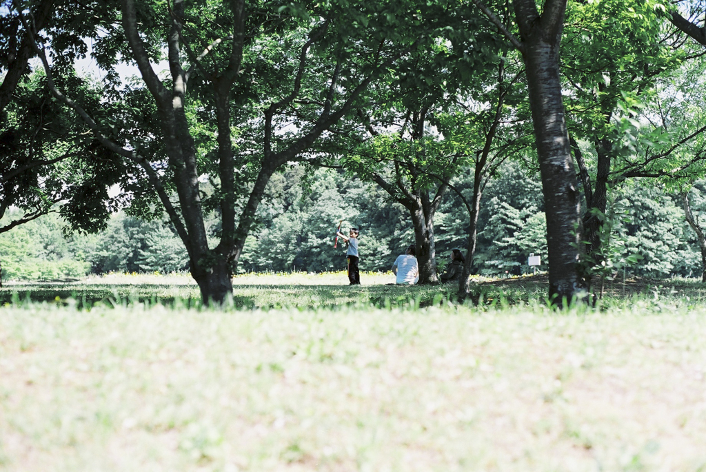 Robin hood