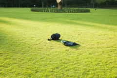 暮れ行く休日