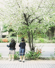 幼なじみ