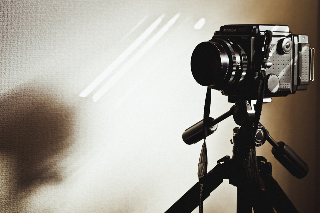 RZ67pro2_5