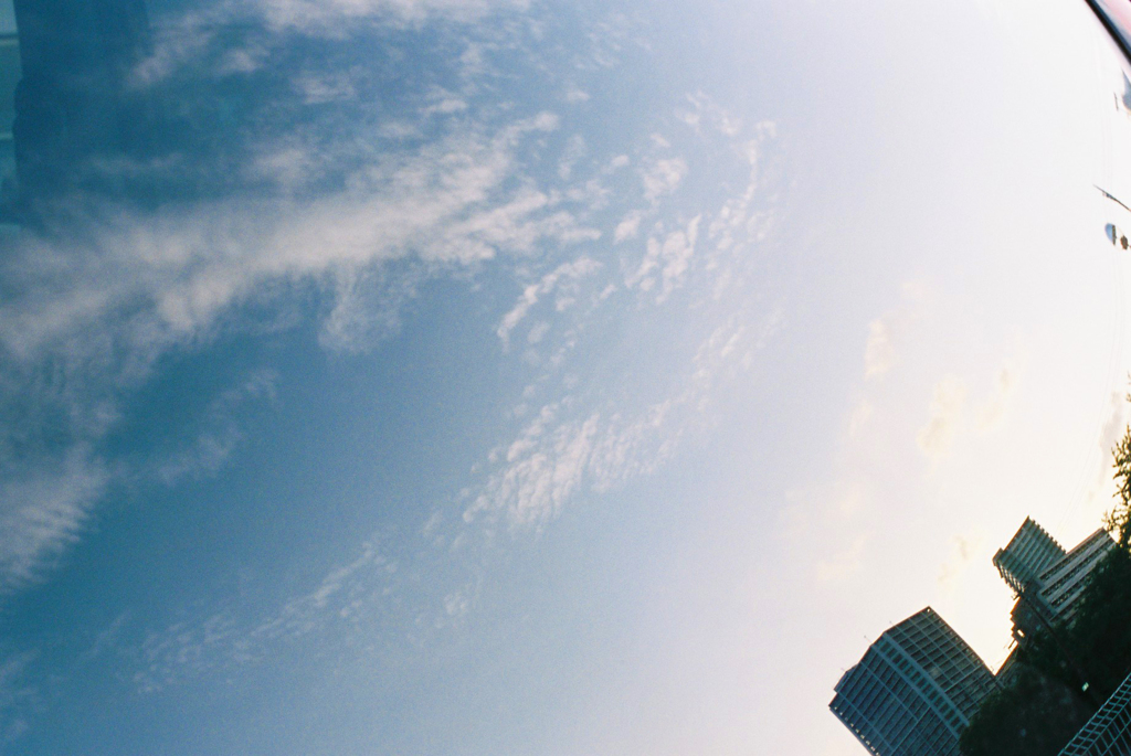 リバースリバース