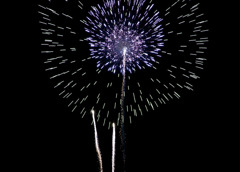 夜の花