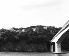 IMG-0006_2