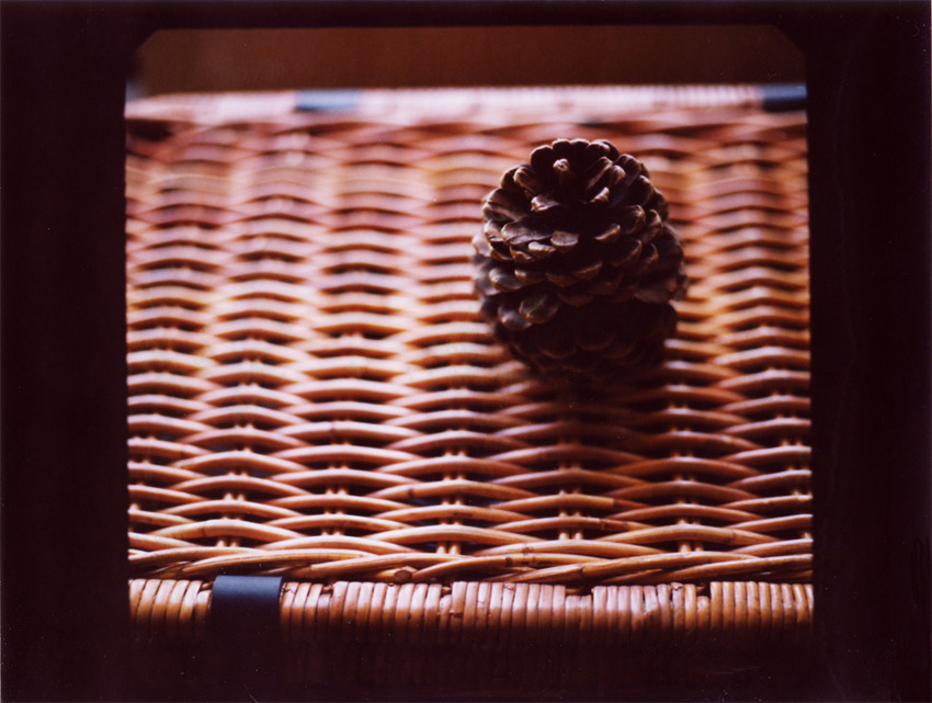 matubokkuri_pola1