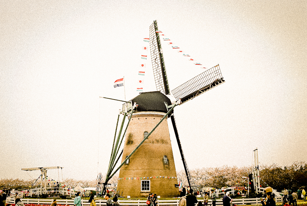 From Holland.