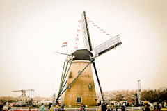 From Holland.