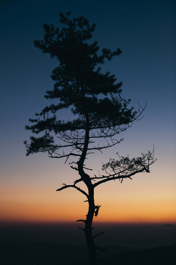 正月の風景_7