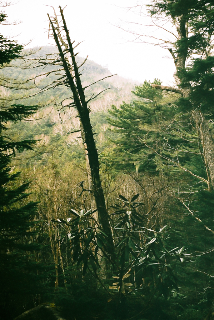 untitled view