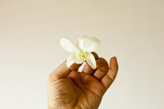 flower