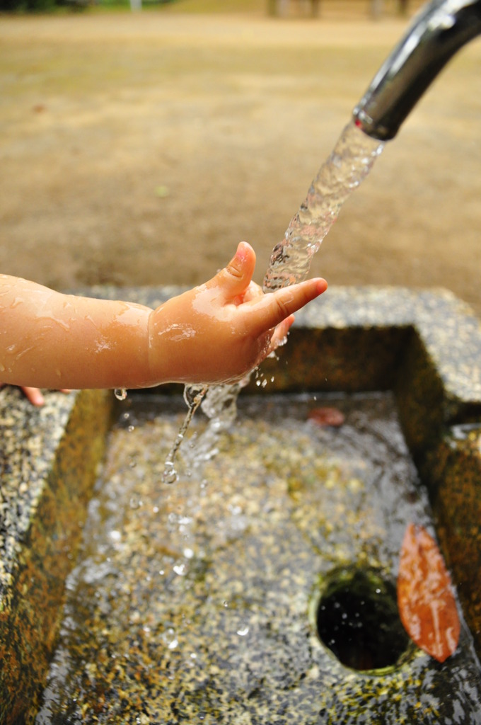 水ってきれいだね。