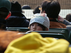 @甲子園