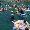 クジラと泳ぐ