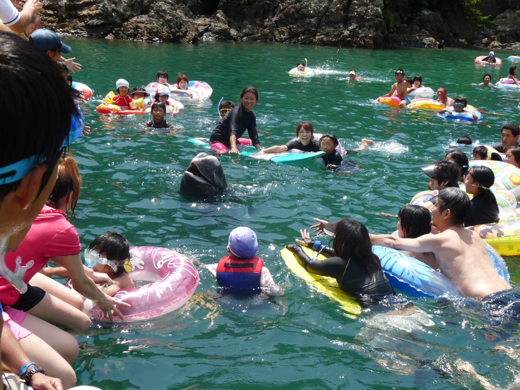 クジラ出現！！