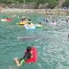 クジラと泳ぐ2011