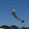 JUMP !!!